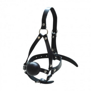 Кляп-шар со сбруей на голову